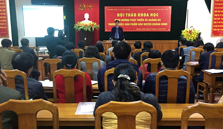 Định hướng phát triển và quảng bá thương hiệu hàu Quảng Ninh