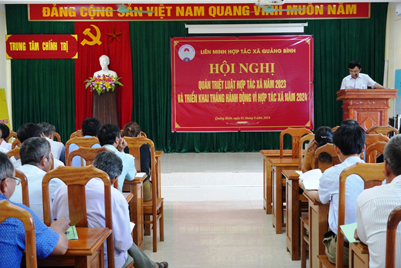 Bồi dưỡng nâng cao năng lực cho cán bộ hợp tác xã