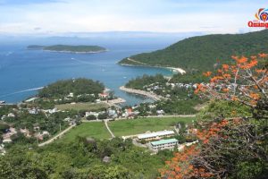 Cù Lao Chàm mùa ngô đồng đỏ