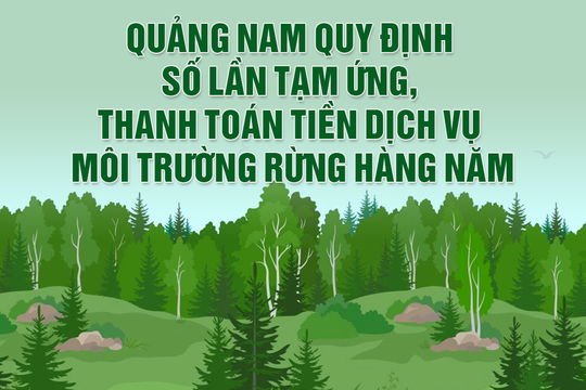 Quảng Nam quy định số lần tạm ứng và thanh toán tiền dịch vụ môi trường rừng hằng năm