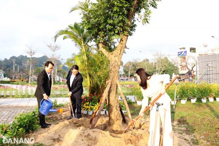 Quận Ngũ Hành Sơn phát động Tết trồng cây đầu xuân Ất Tỵ